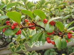 -天台山琼台仙谷景区