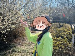 -杏花村文化旅游区