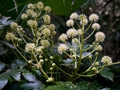 -苏州河梦清园环保主题公园