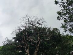 -广州市白云山风景名胜区