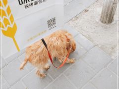 -味多美蛋糕(洋桥店)
