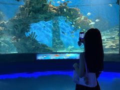 -海合安武汉极地海洋公园