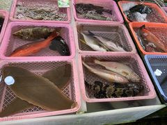 -大湾区中央湿地公园-十九涌