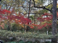 -北山街历史文化街区