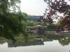 -嘉定紫藤园