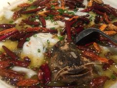 -九毛九西北菜(百信广场店)
