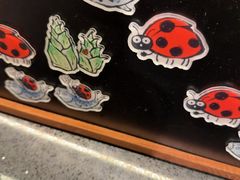 -拾光与烟火丨炭火串烧·自贡小活鲜(西村大院店)