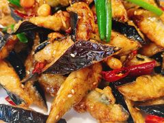 -煎饼卷大葱·非遗传承·潍坊菜(十笏园店)