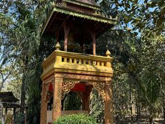 -西双版纳傣族园