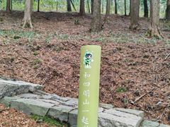 -四明山国家森林公园
