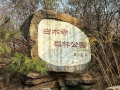 -白水寺森林公园