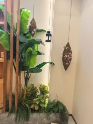 -芳朵美容养生SPA