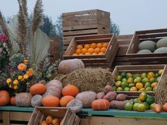 -中国天府农业博览园