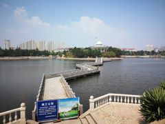 -莫内艺术岛海景咖啡