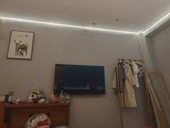 -国宝熊猫酒店(春熙路天府广场店)