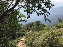 -阳台山自然风景区