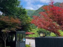 -宁海安岚·南溪阁全日餐厅