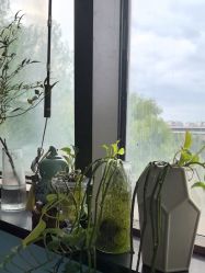 -斐尔国际皮肤管理中心