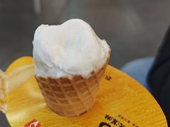 -野人先生Gelato(上海长宁龙之梦店)