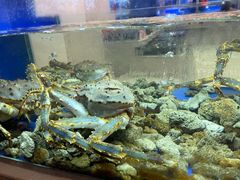 -骏丰酒楼(黄编店)