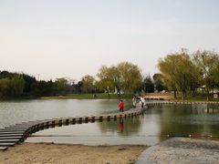-上海佘山世茂艾美酒店