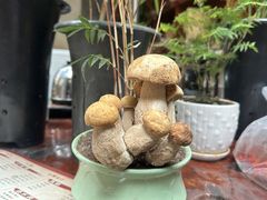 -茶马古道·野生菌清汤黄牛肉(沙溪店)