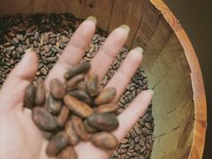 -歌斐颂巧克力小镇