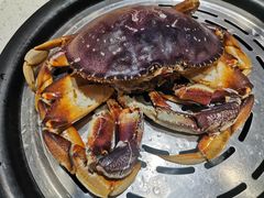 -青蓬海上捞蒸品海鲜城(海岸城店)