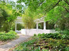 -上海共青森林公园