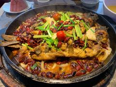 -老板恋上鱼(恒隆广场店)