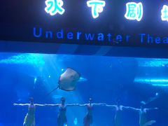-泉城欧乐堡海洋极地世界