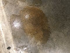 -喜茶(深圳东门1234店)