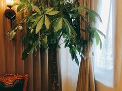 -梦都海鲜酒家(万达广场江桥店)