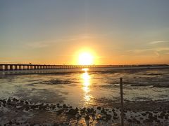 -宝安西湾红树林湿地公园