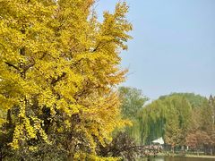 -石家庄市植物园