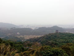 -清溪大王山森林公园