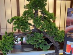 -桃夭日式料理(国信店)