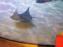 -沈阳海洋探索中心