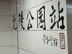 -北陵公园