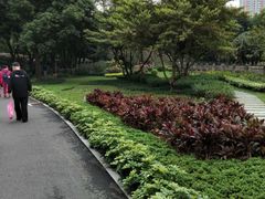 -晓港公园