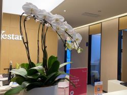 -Yestar杭州艺星医疗美容医院