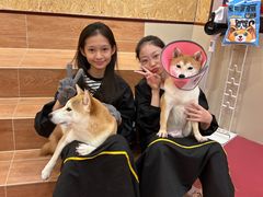 -和它·交个朋友·狗咖猫咖(爱琴海店)
