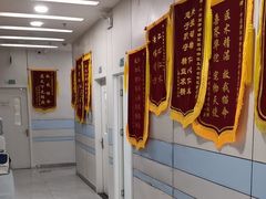 -中农国际动物医院24小时·猫科·骨科·急重症中心