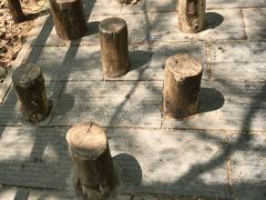-皇藏峪国家森林公园