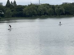 -长广溪湿地公园
