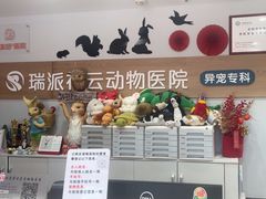 -瑞派·关忠动物医院猫科外科·异宠·24小时转诊中心(祥云店)