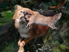 -国家自然博物馆