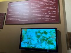 -台儿庄大战纪念馆
