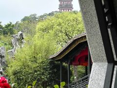 -顺峰山公园