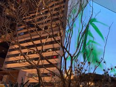 -桂满陇·海市蜃楼·黑金(国金店)